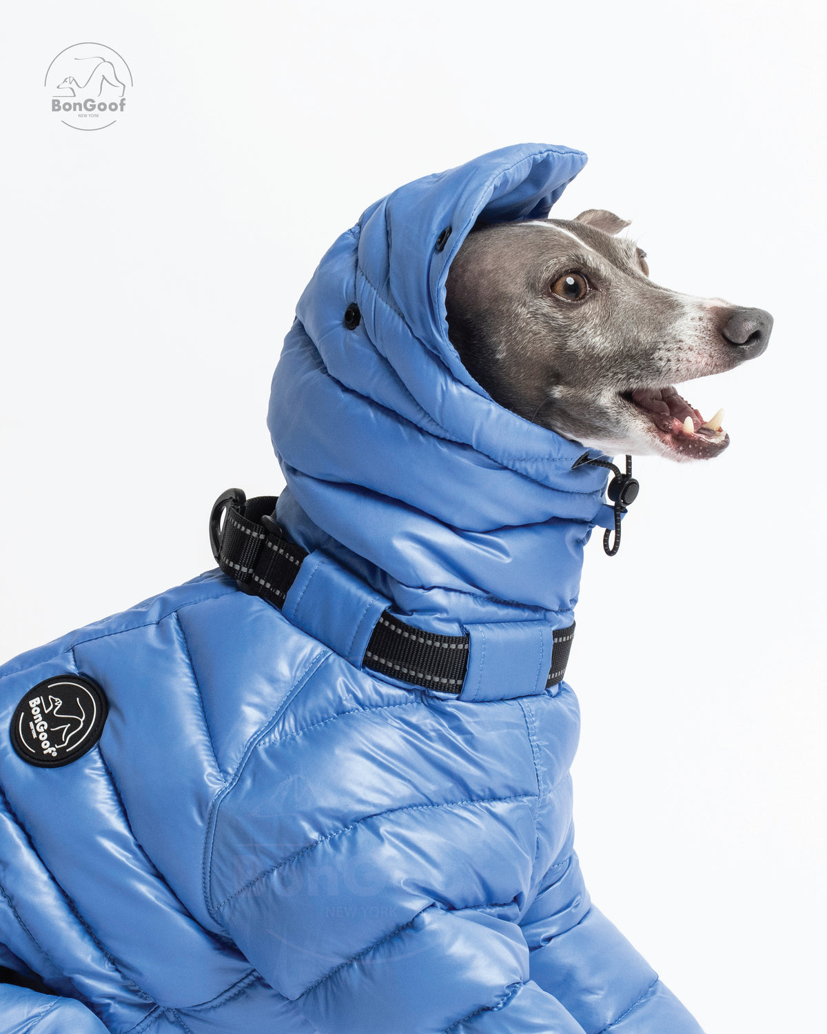 Close-up of a dog wearing the BonGoof The Michelin puffer suit in Bluebell, showing the padded hood, adjustable drawcord, collar D-ring and logo patch.