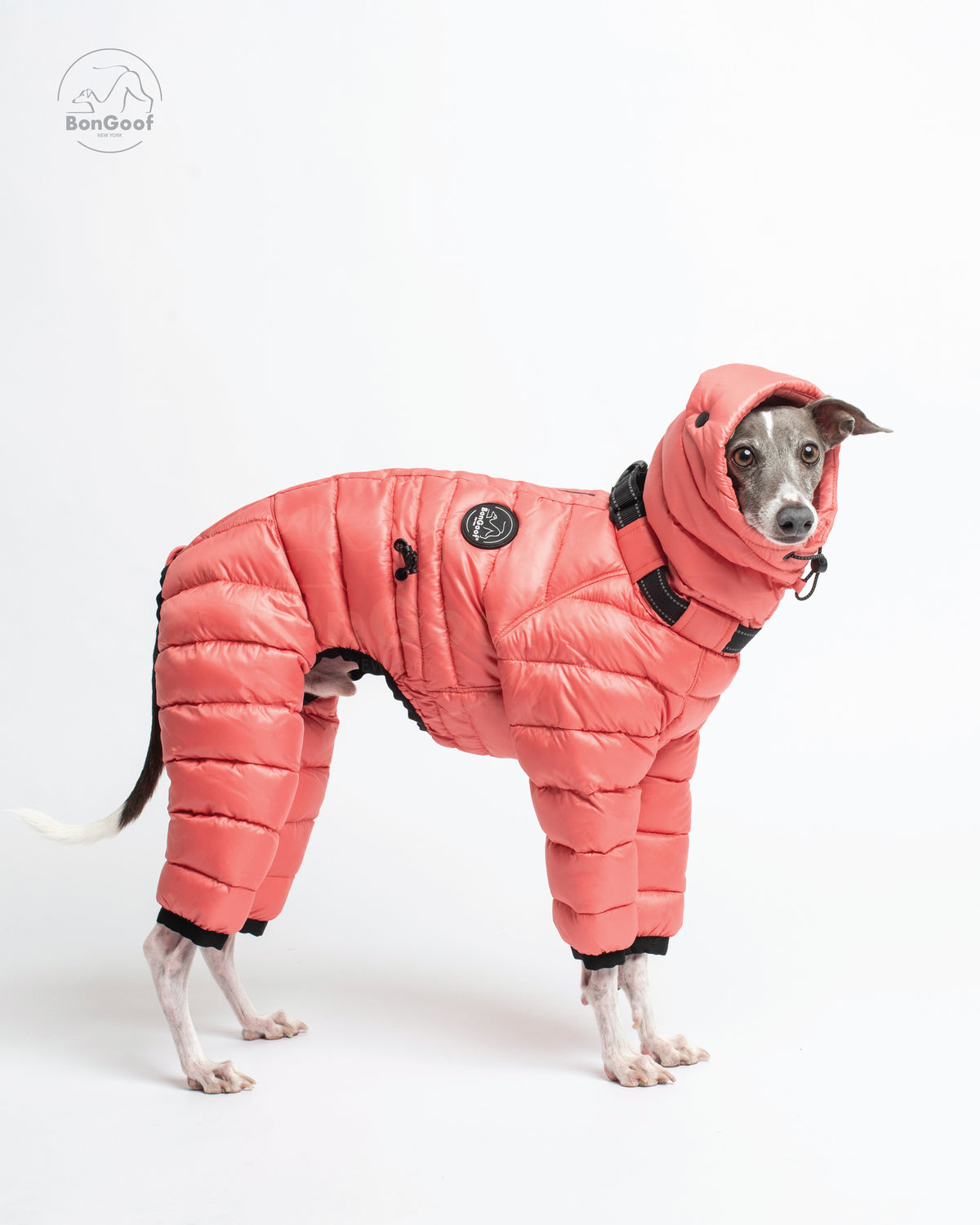 Dog wearing the BonGoof The Michelin puffer suit in Coral Reef with the hood up, side view showing the coral-colored quilted body, padded legs and logo patch.