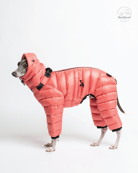 Dog wearing the BonGoof The Michelin puffer suit in Coral Reef with the hood up, facing left with the quilted body, padded legs and side drawcord visible.