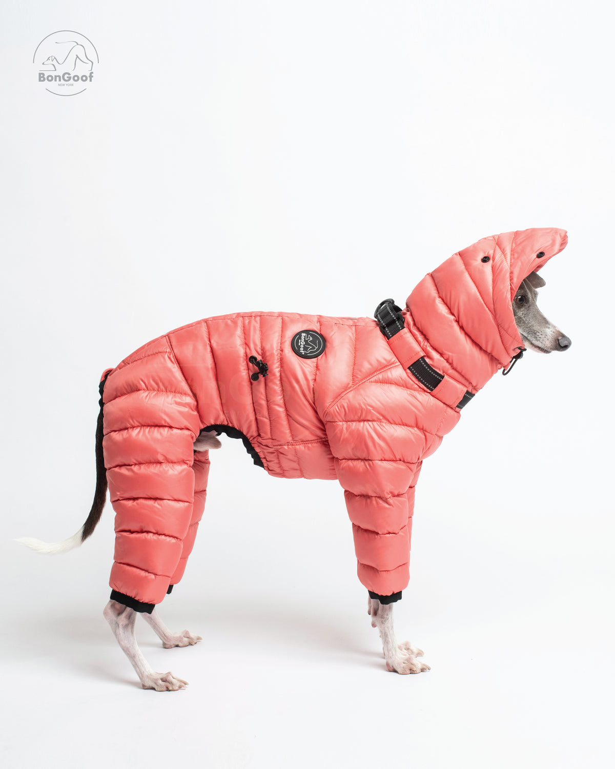Dog wearing the BonGoof The Michelin puffer suit in Coral Reef, facing right with the extended hood flap, quilted body and padded legs visible.