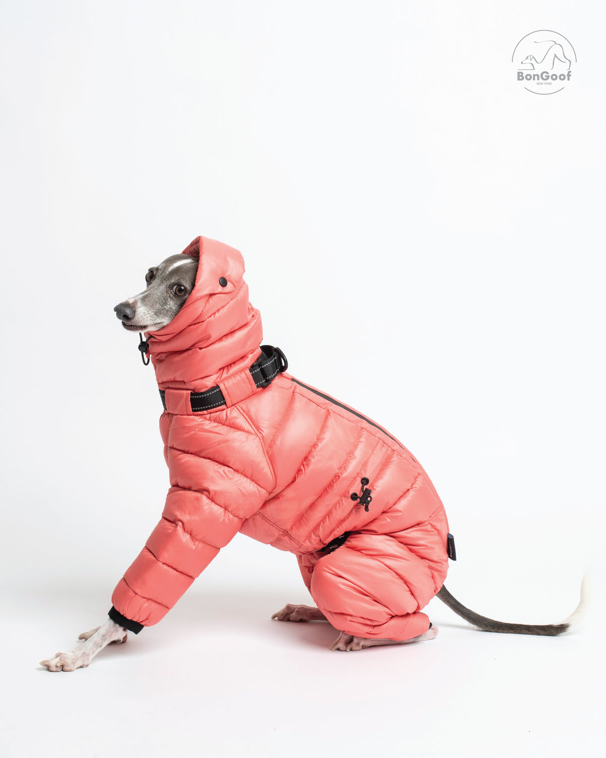 Seated dog wearing the BonGoof The Michelin puffer suit in Coral Reef with the hood up, facing left with the padded legs and side drawcord visible.