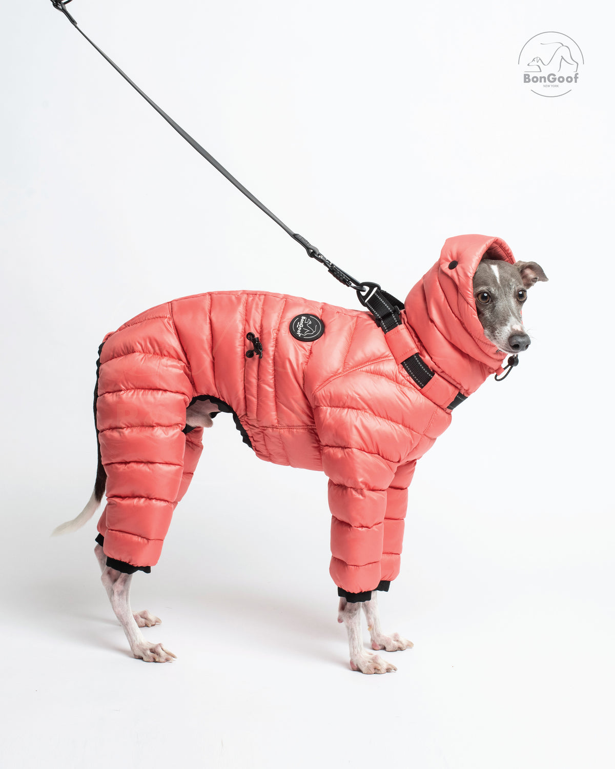 Dog wearing the BonGoof The Michelin puffer suit in Coral Reef with the hood up, standing with a leash attached to the collar D-ring.