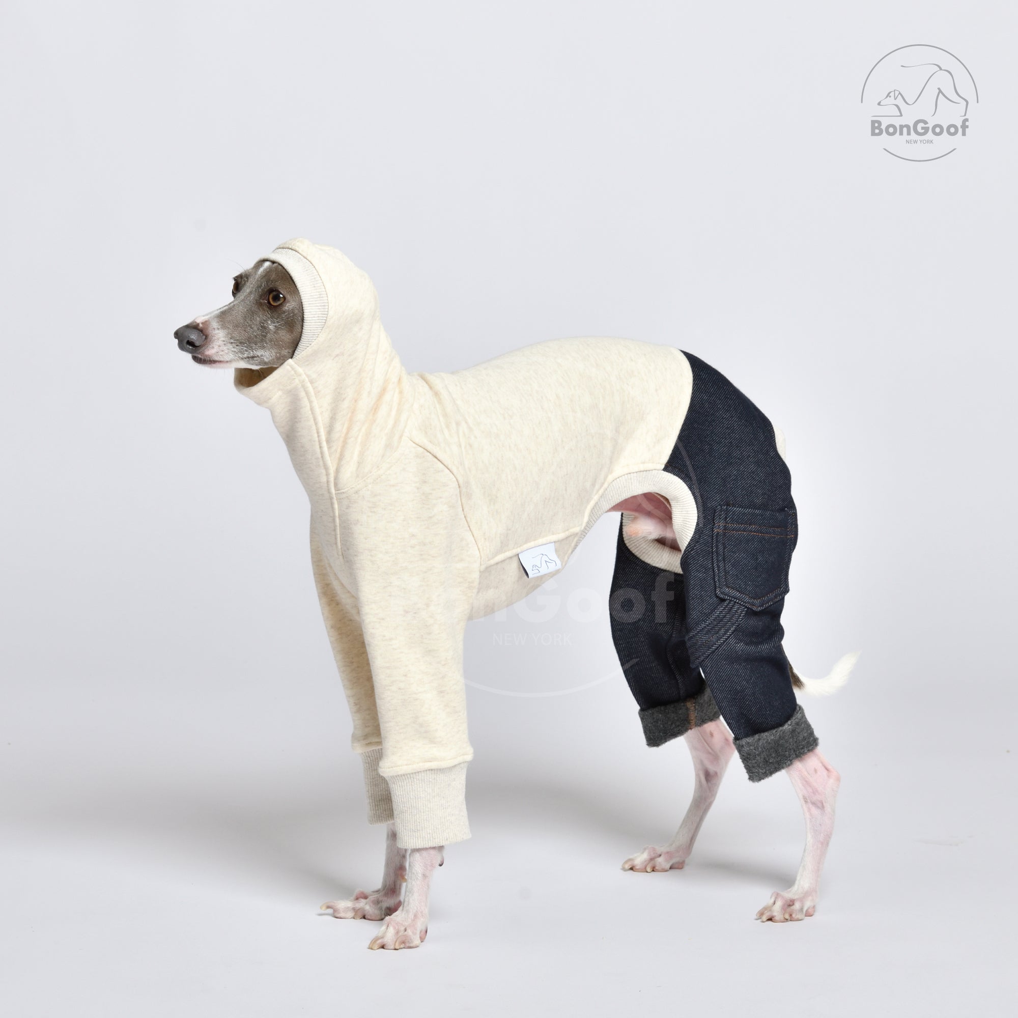 Italian top greyhound fashion