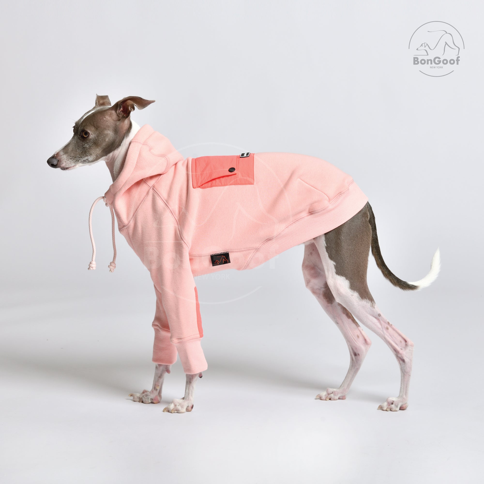 BonGoof I High End Italian Greyhound Clothing Accessories