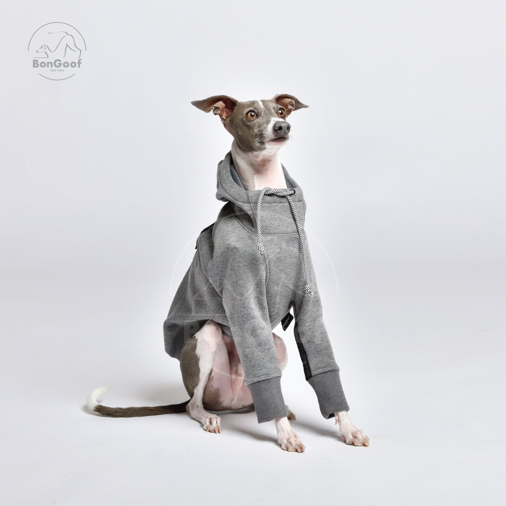 Italian greyhound outlet hoodie