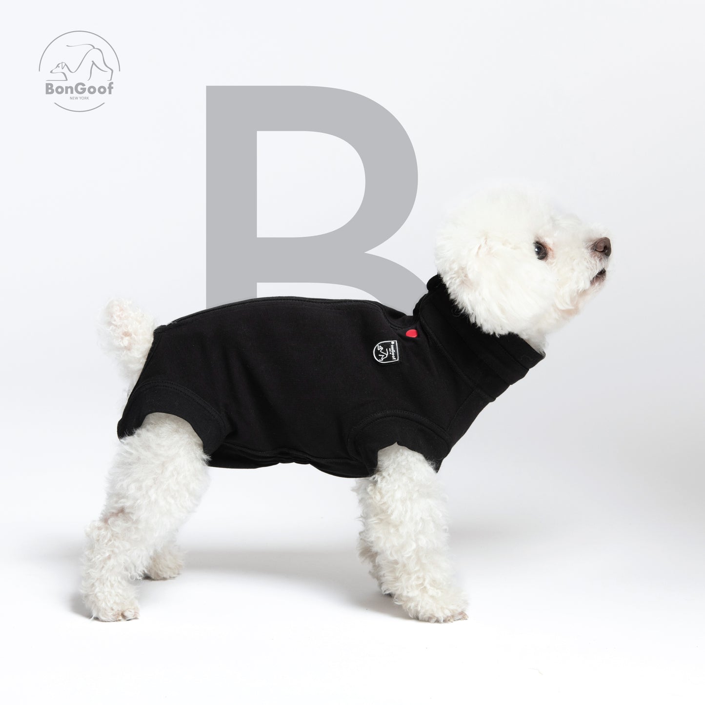 MEDITECT SUIT for Female dogs & All cats