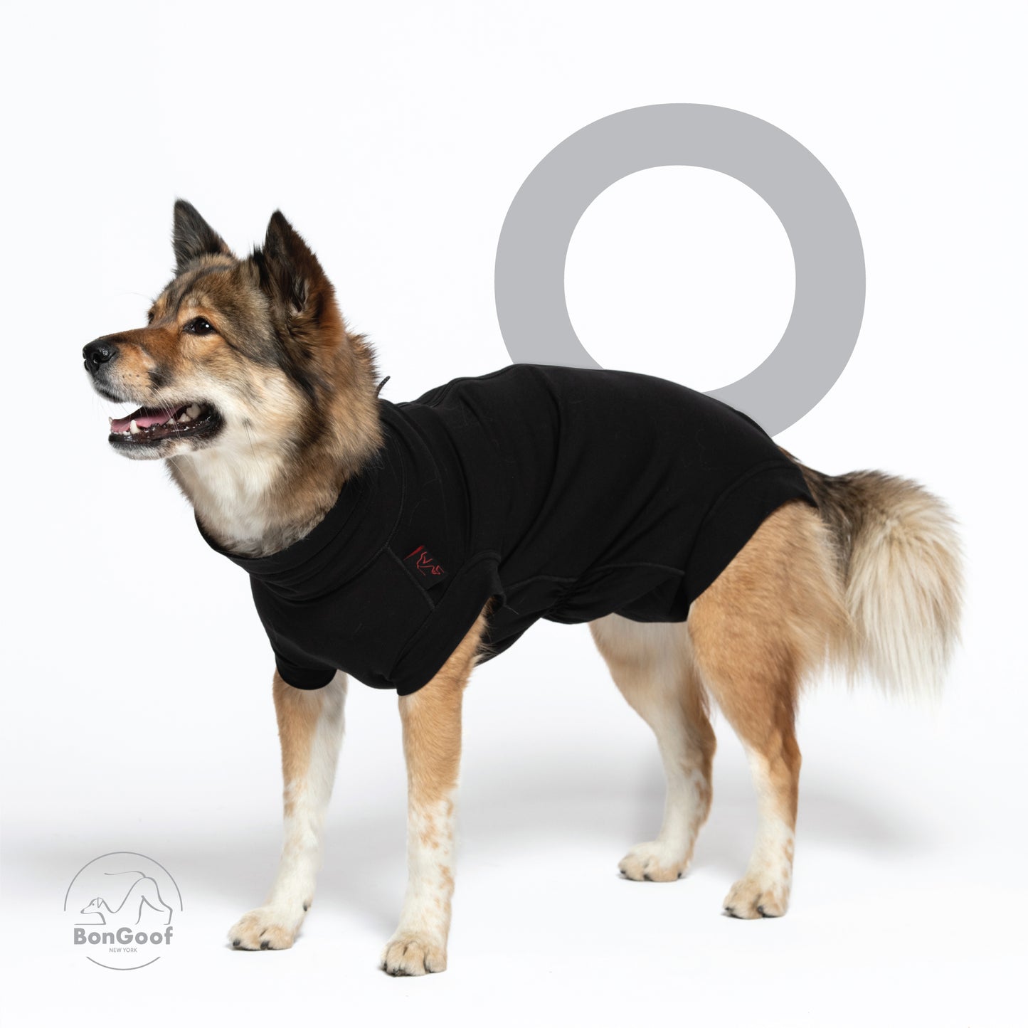 MEDITECT SUIT for Female dogs & All cats