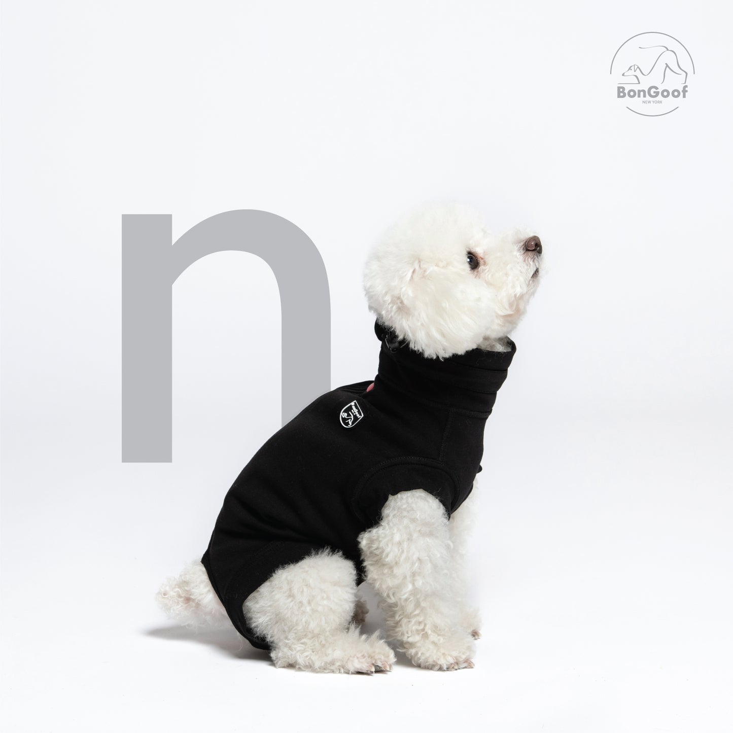 MEDITECT SUIT for Female dogs & All cats