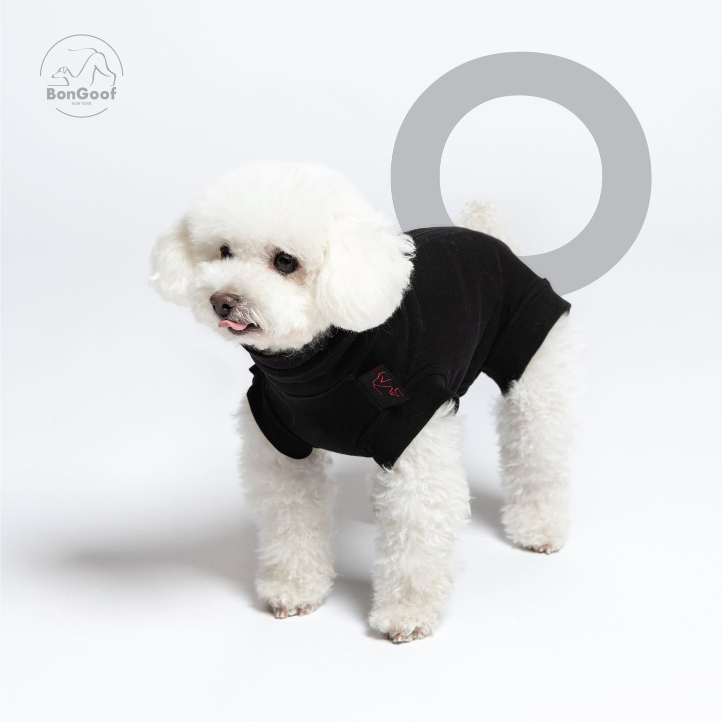 MEDITECT SUIT for Female dogs & All cats