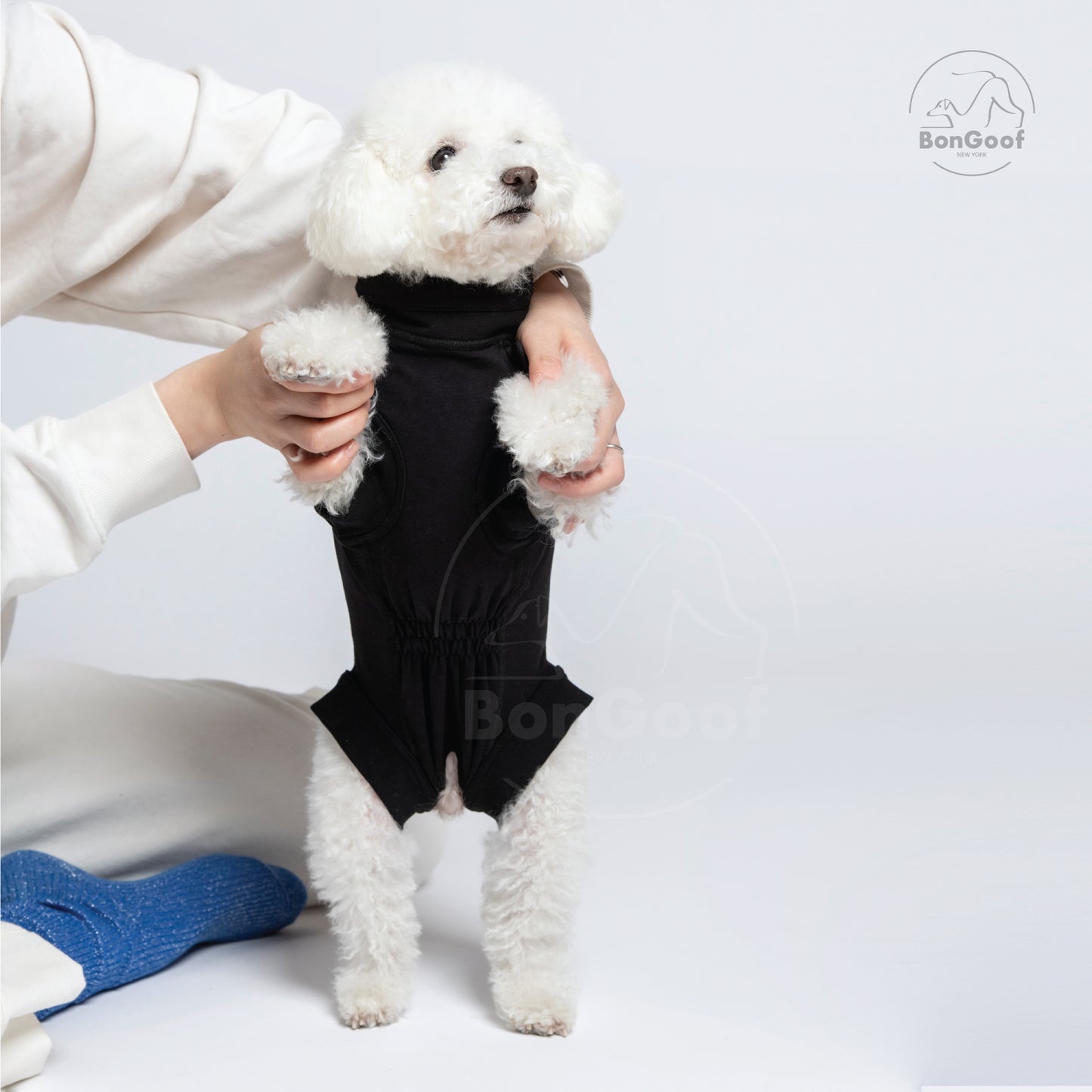 MEDITECT SUIT for Female dogs & All cats