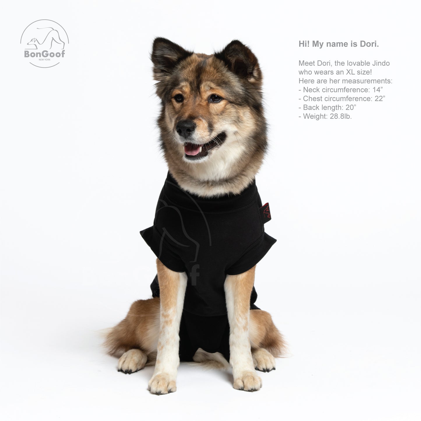 MEDITECT SUIT for Female dogs & All cats