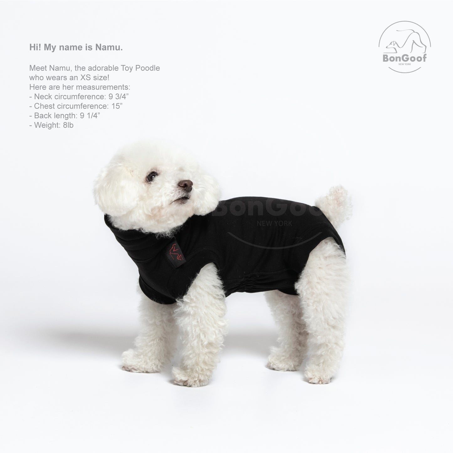 MEDITECT SUIT for Female dogs & All cats