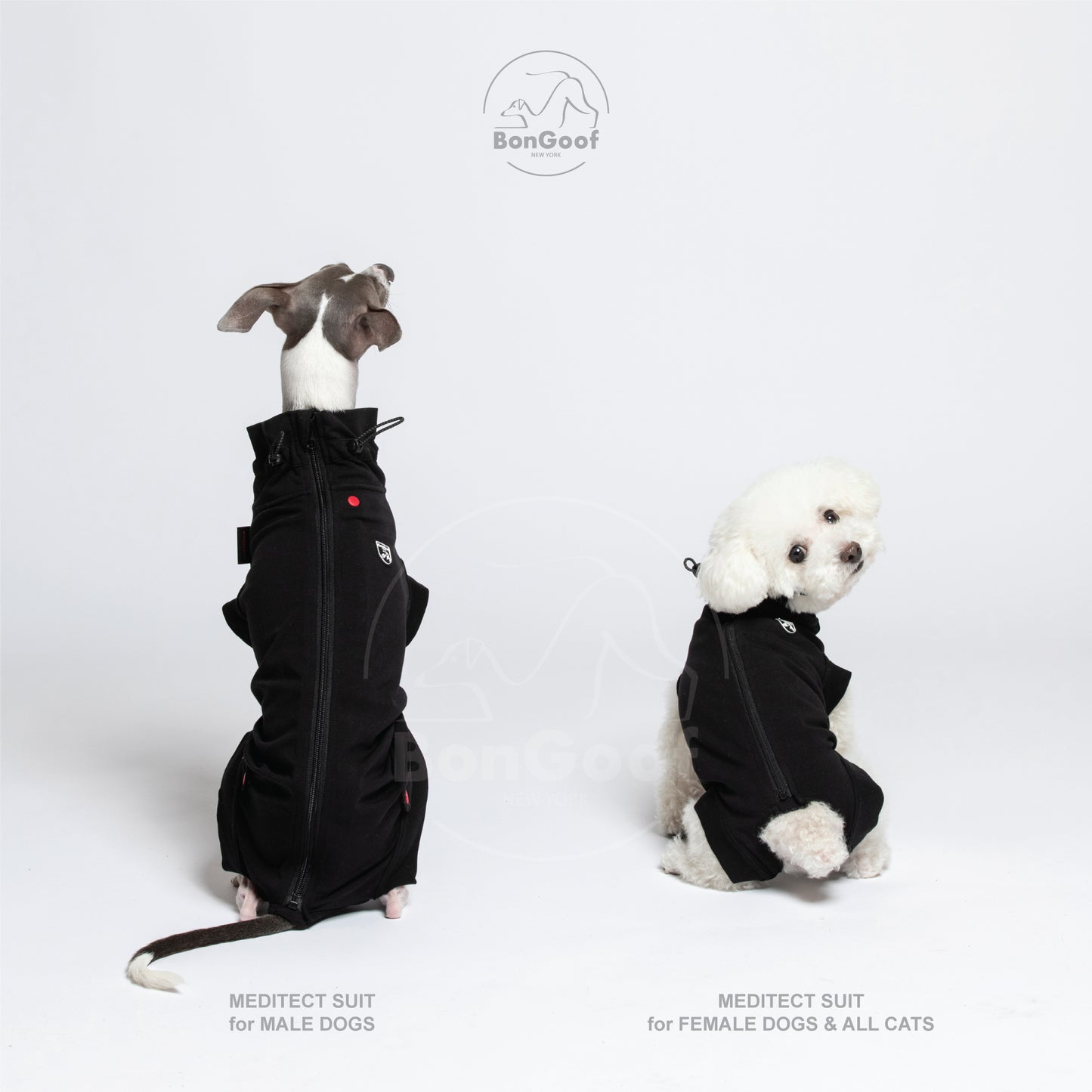 MEDITECT SUIT for Female dogs & All cats