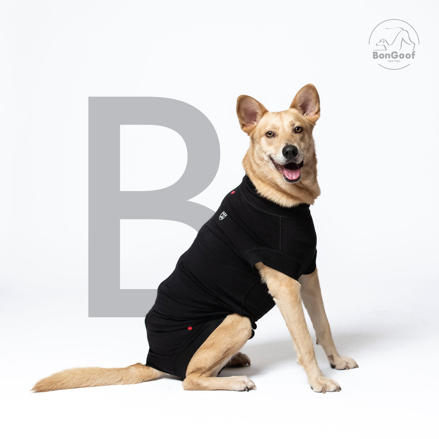 MEDITECT SUIT for Male dogs