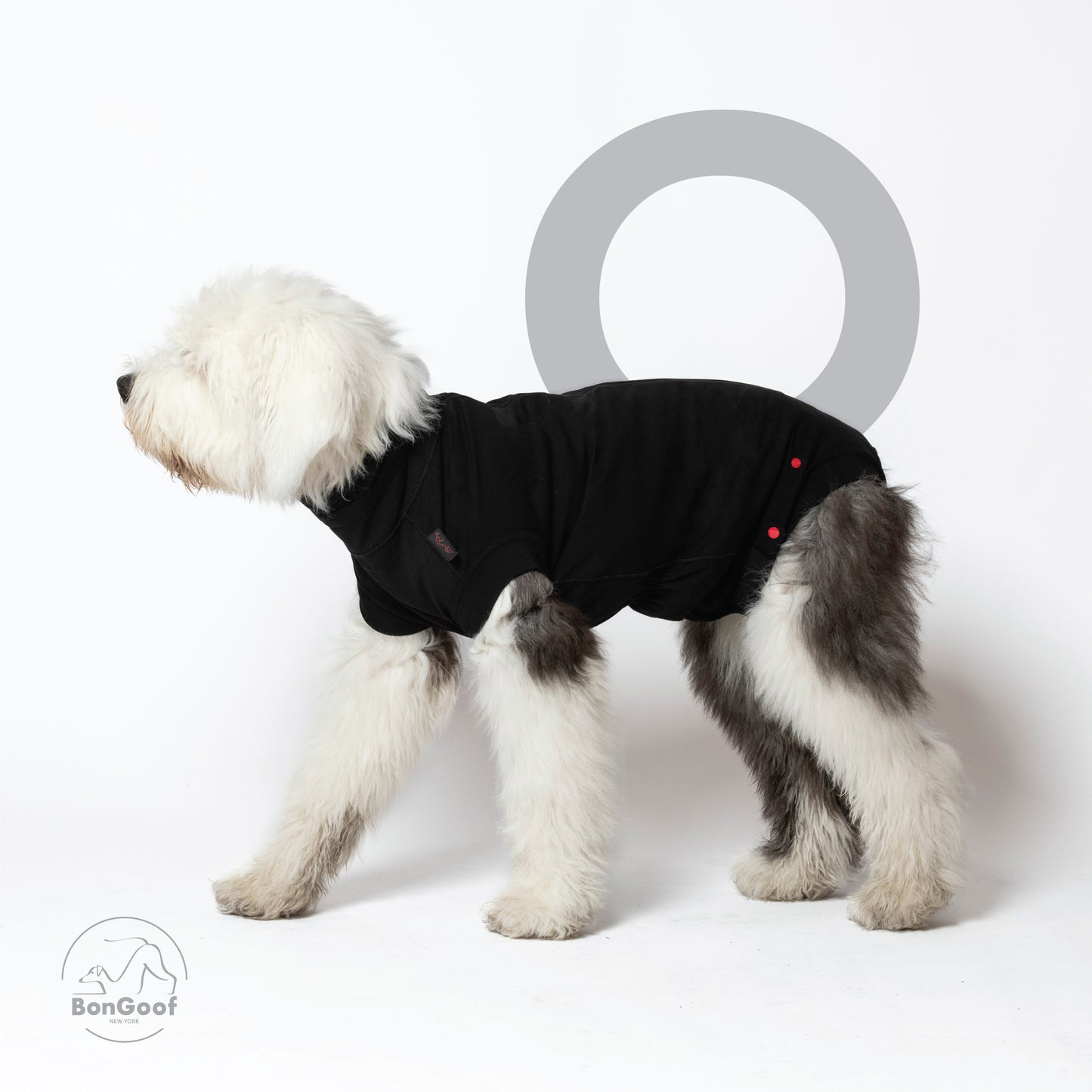 MEDITECT SUIT for Male dogs