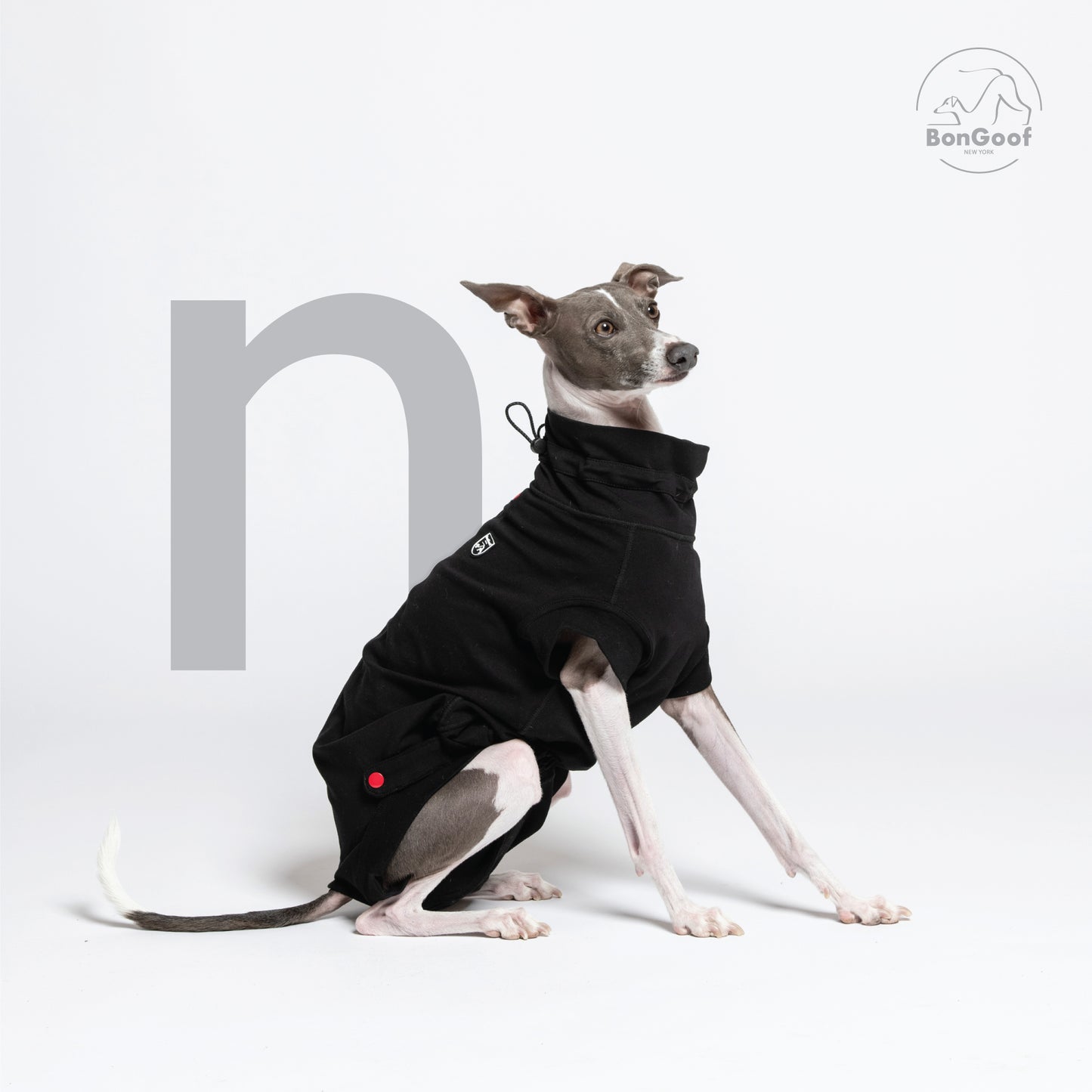 MEDITECT SUIT for Male dogs