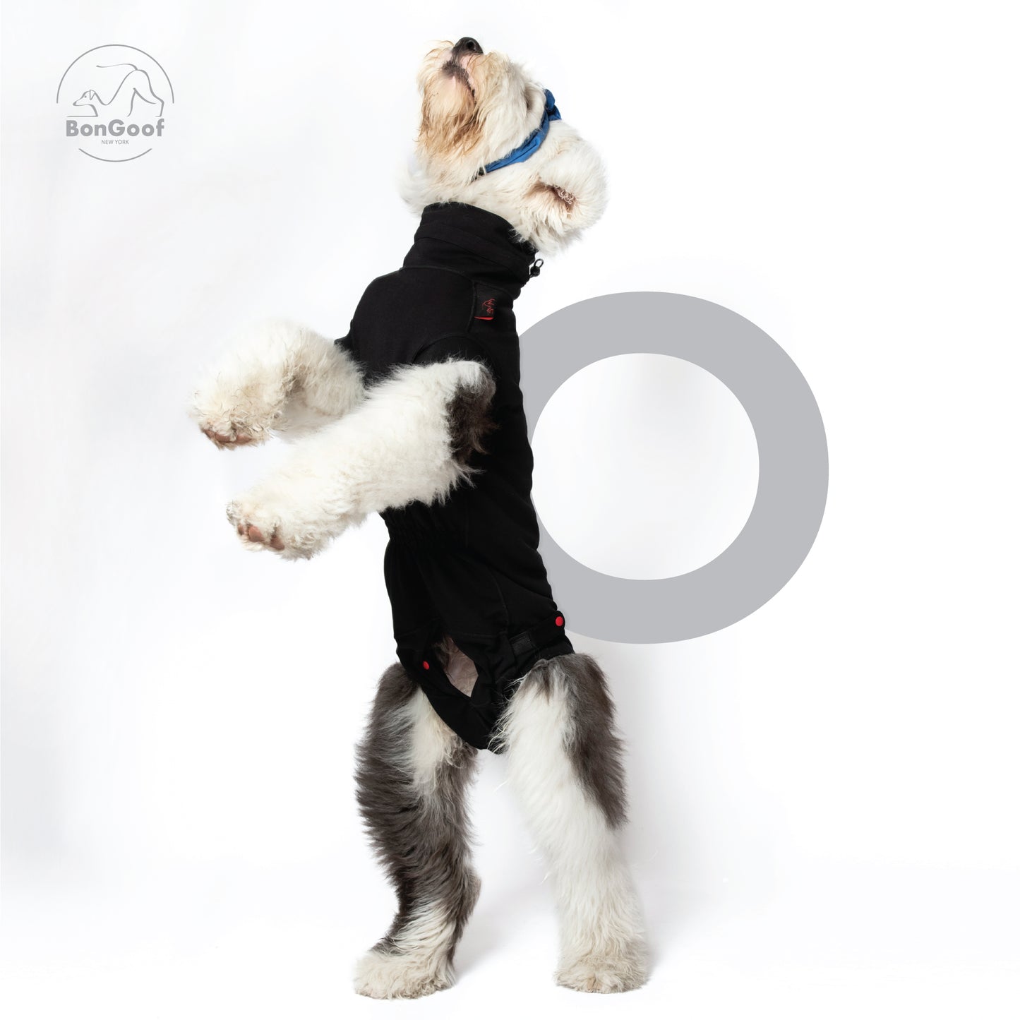 MEDITECT SUIT for Male dogs