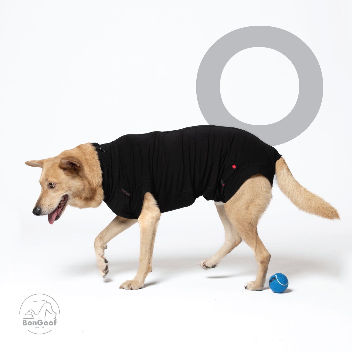 MEDITECT SUIT for Male dogs