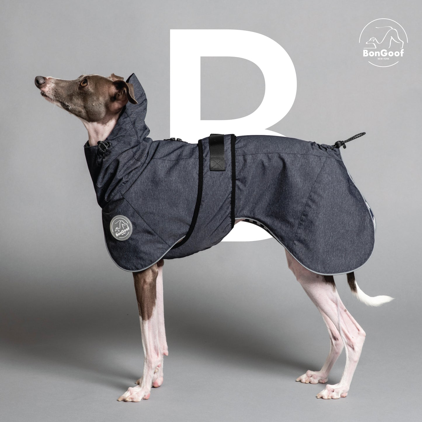 PUPbrella - Dark Navy