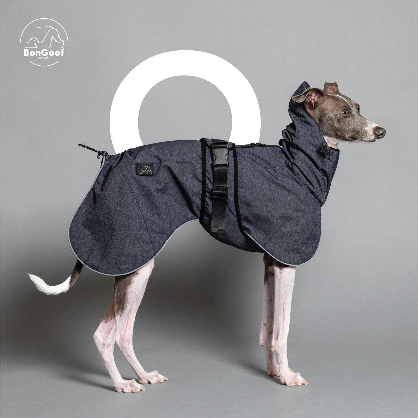 PUPbrella - Dark Navy