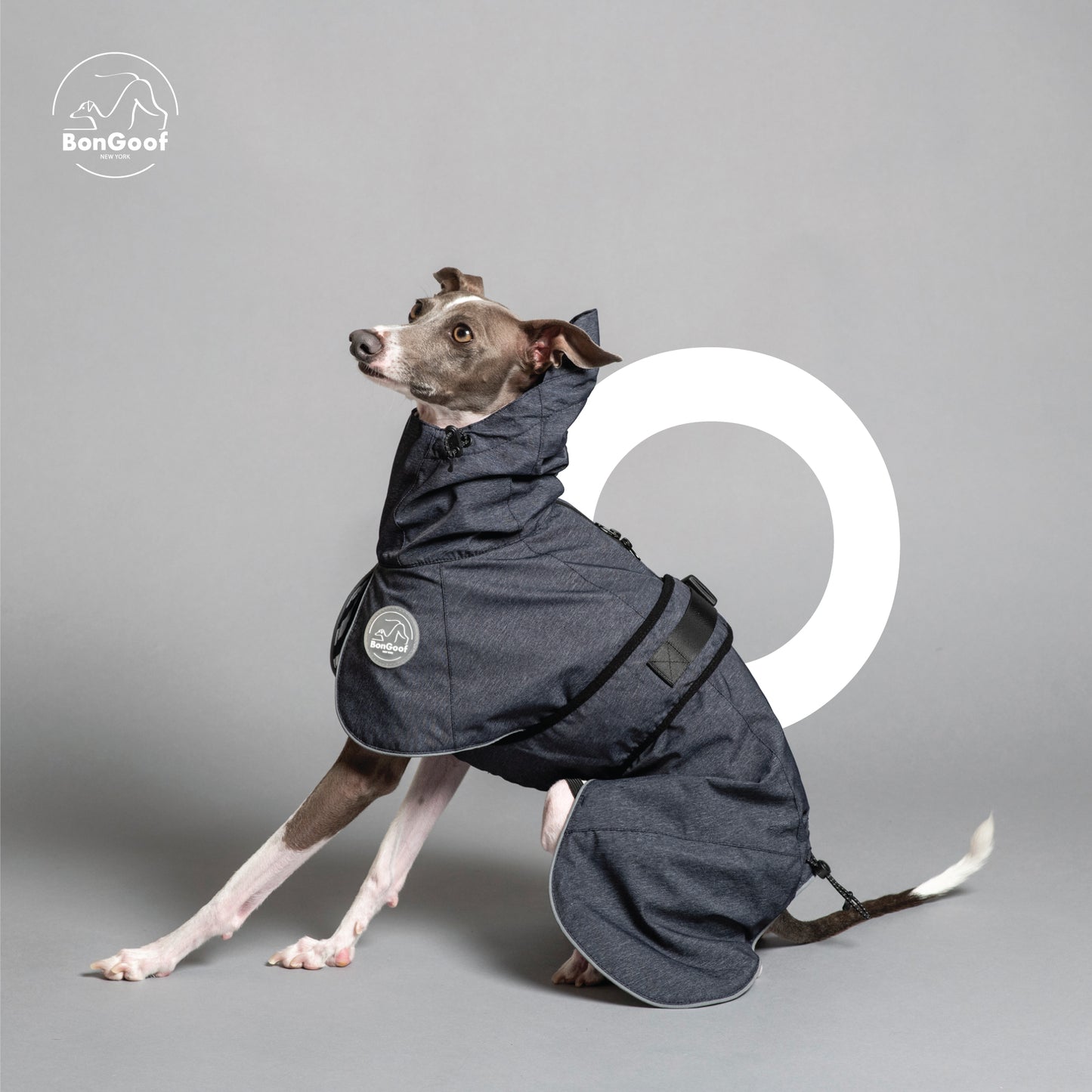 PUPbrella - Dark Navy