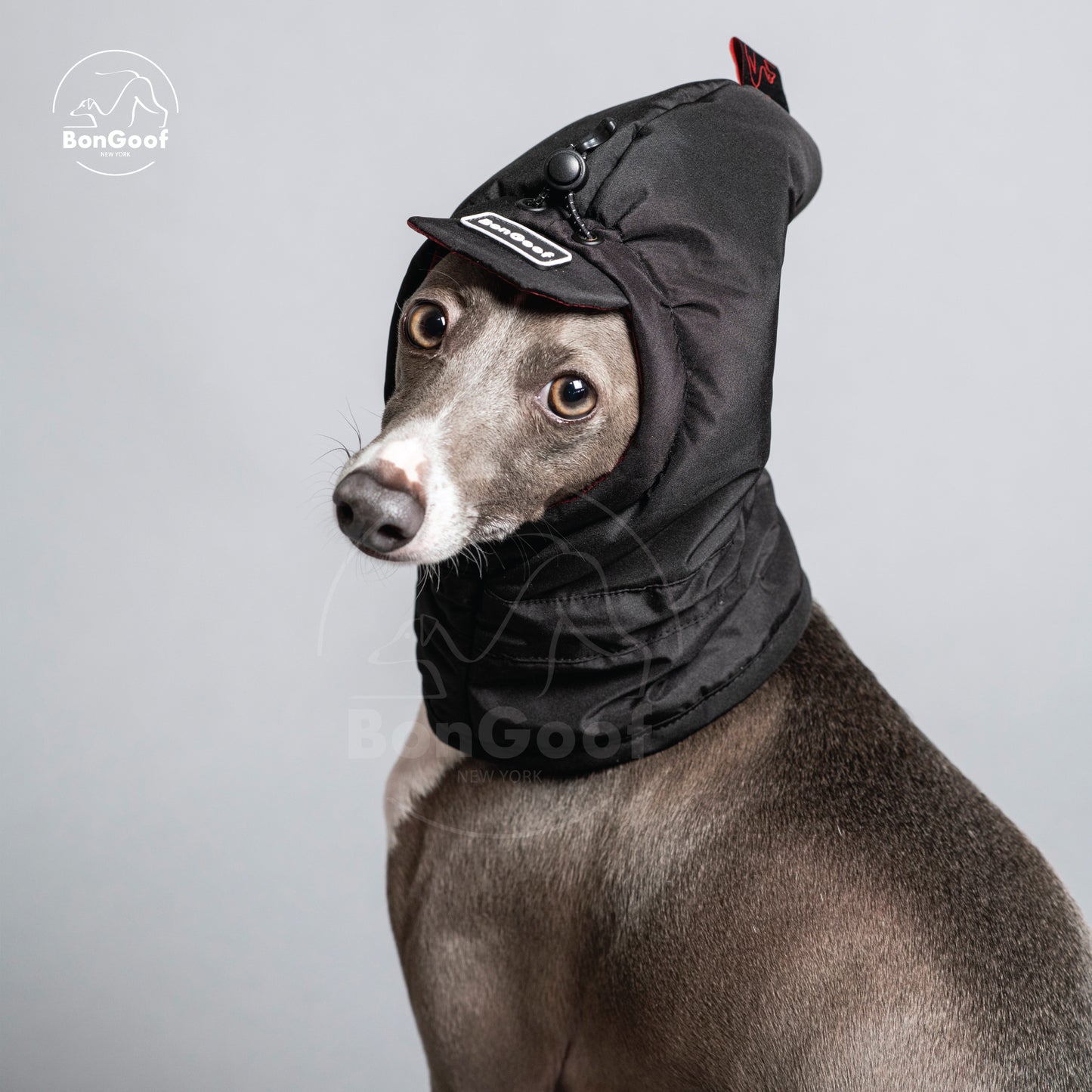 BGF Balaclava - BLACK