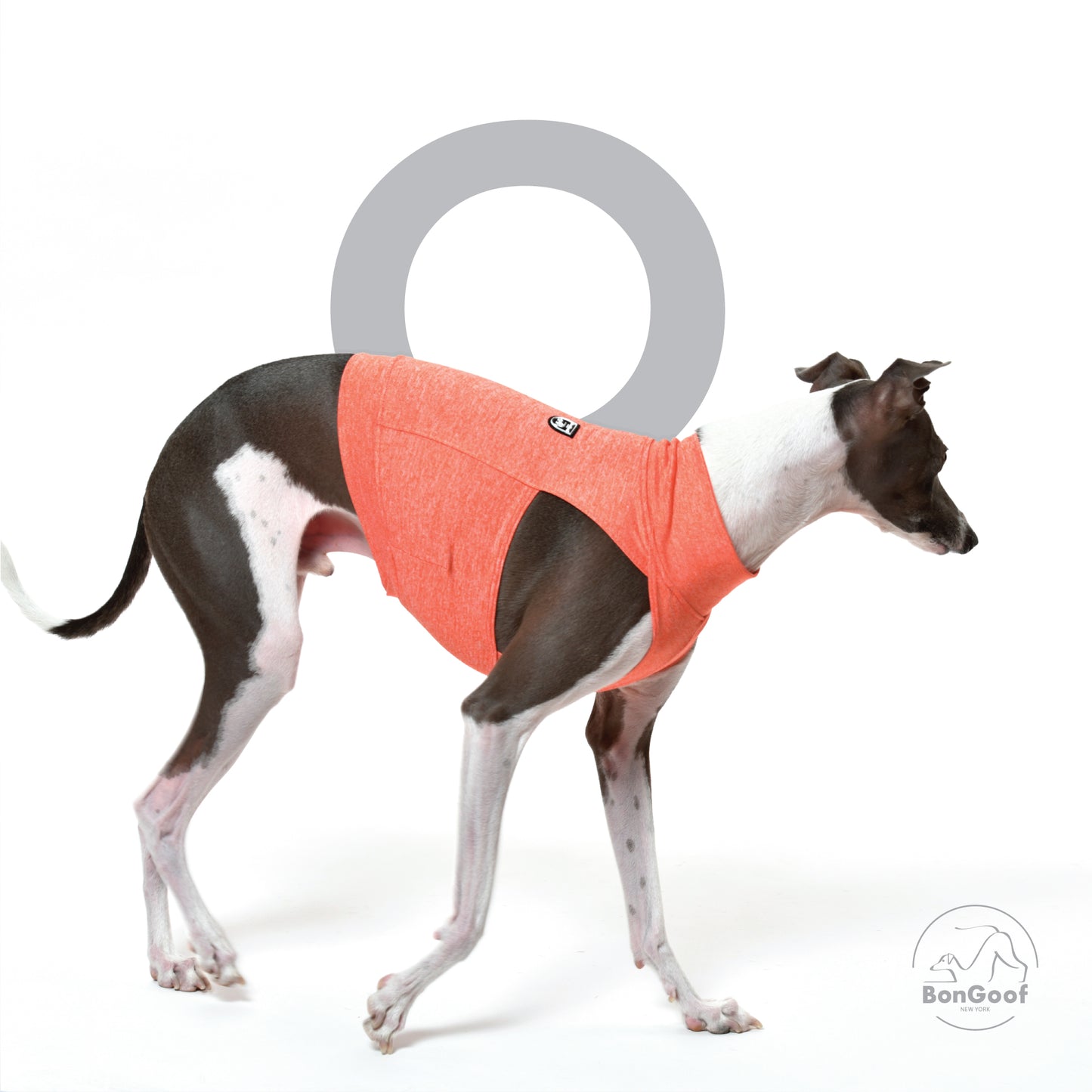 CoolPace Crop Top (Chito & UPF50) - Heather Orange
