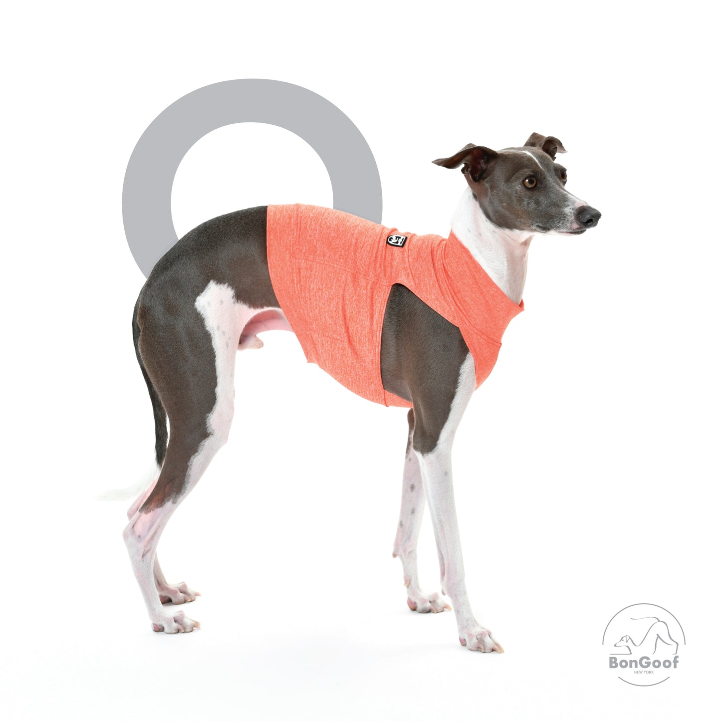 CoolPace Crop Top (Chito & UPF50) - Heather Orange