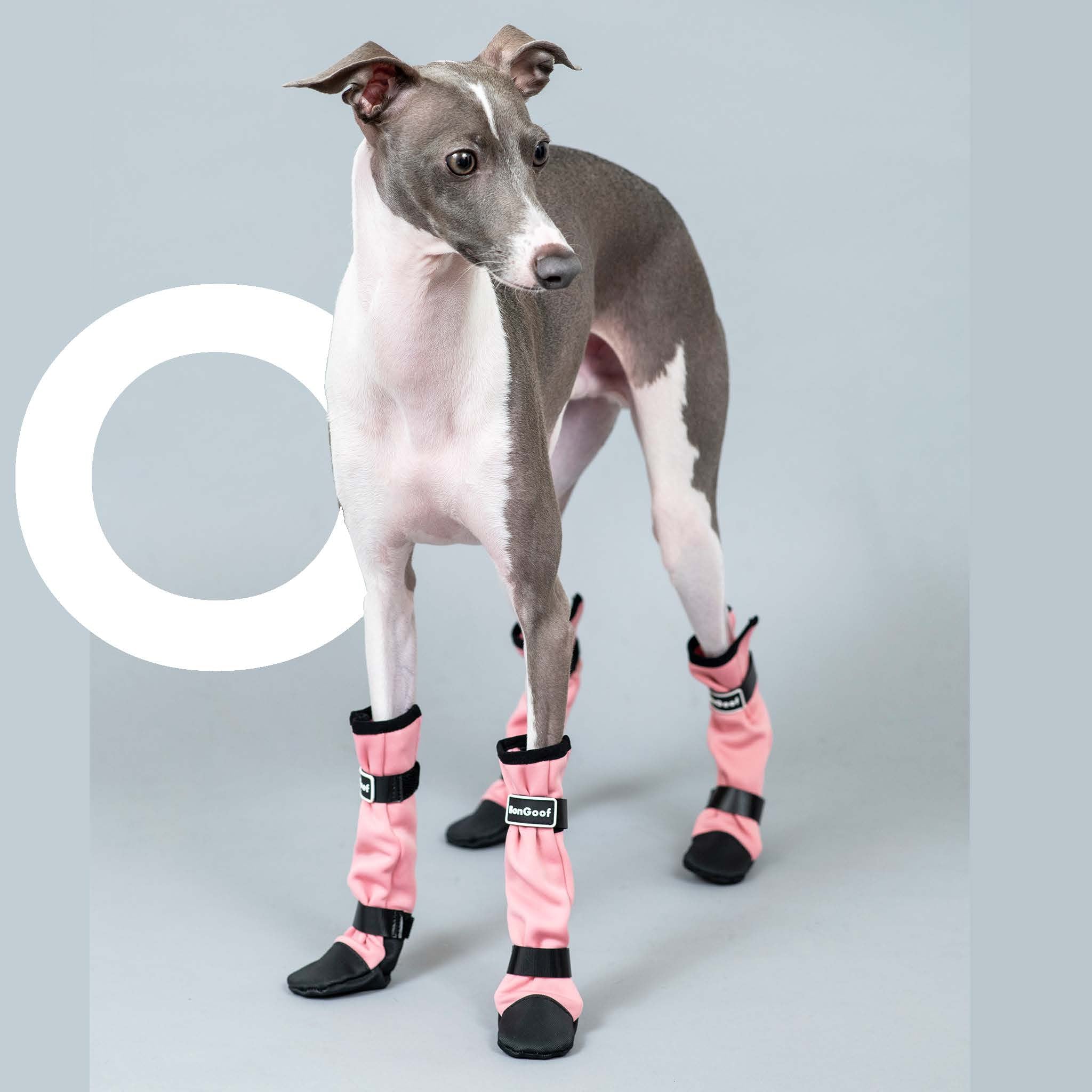 Whippet booties outlet